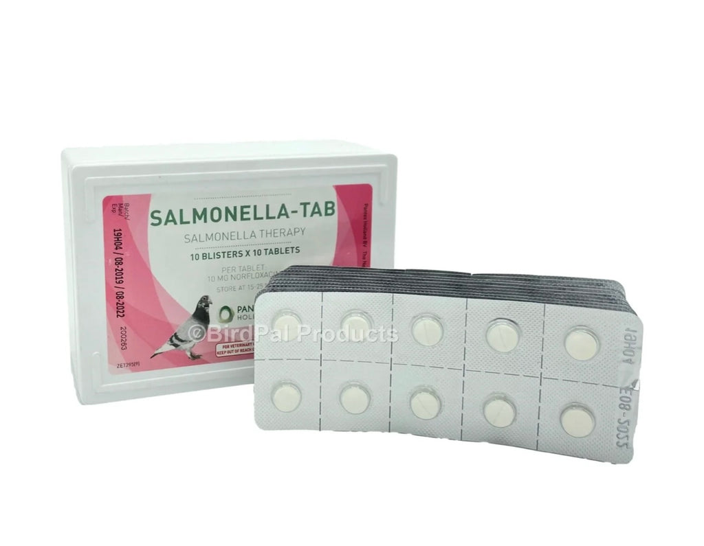 SALMONELLA-TAB