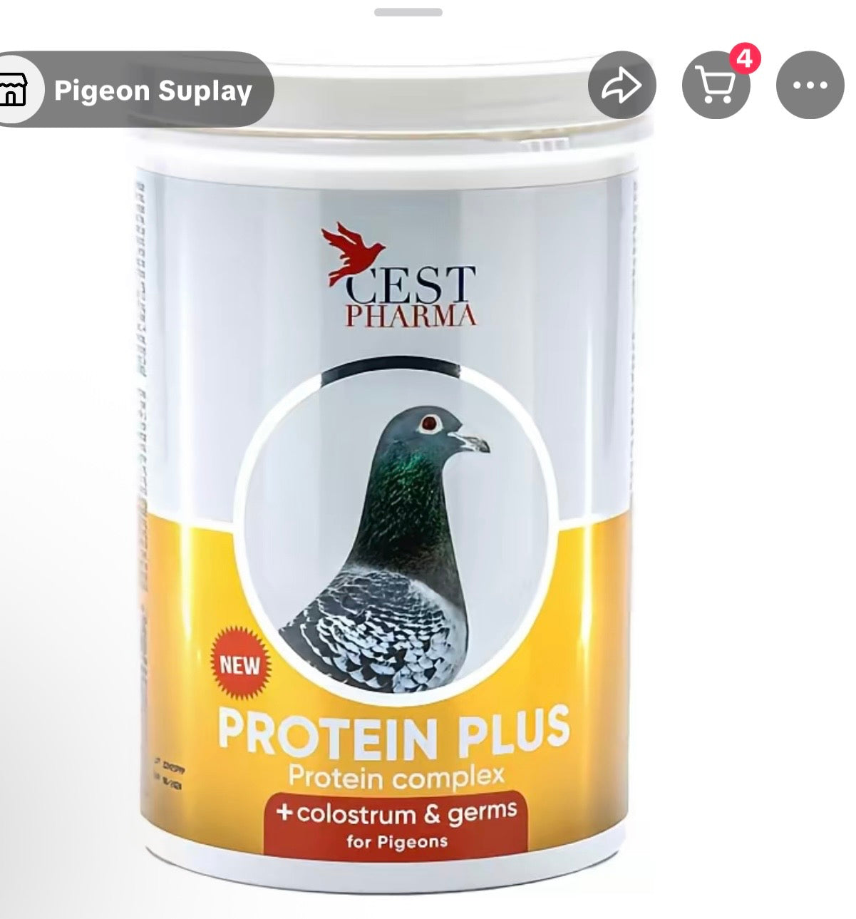 PROTEIN PLUS