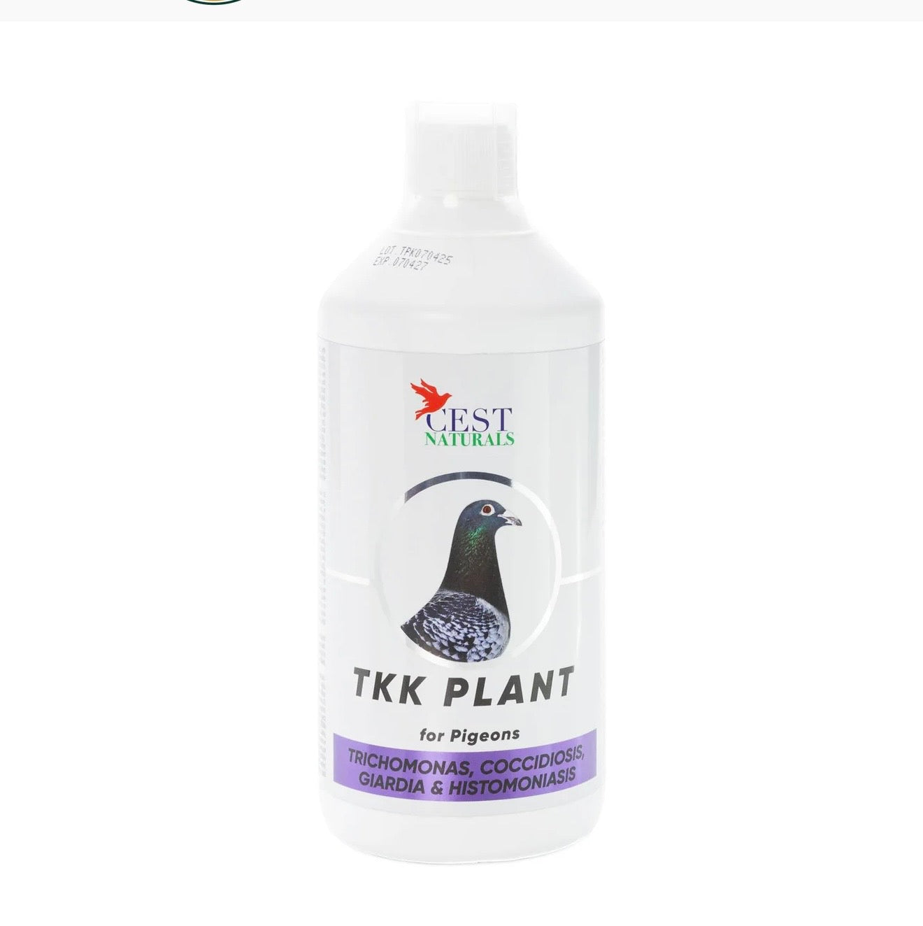 TKK PLANT