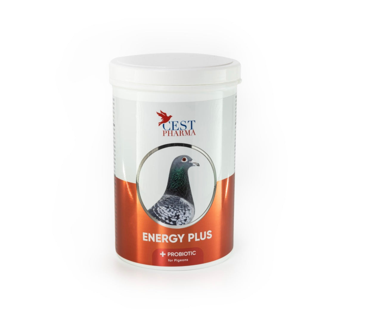 ENERGY PLUS