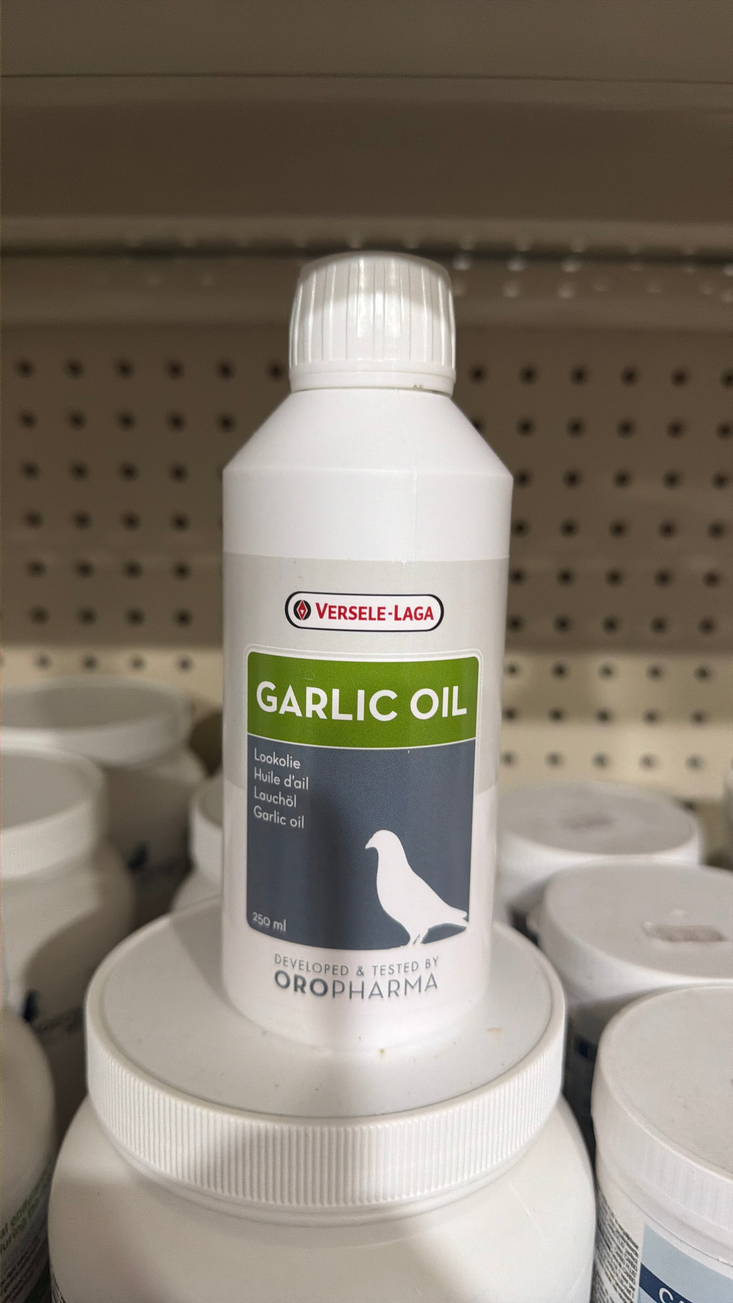 Garlic Oil